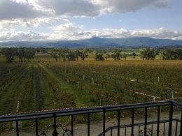 Yarra Yering vineyards front